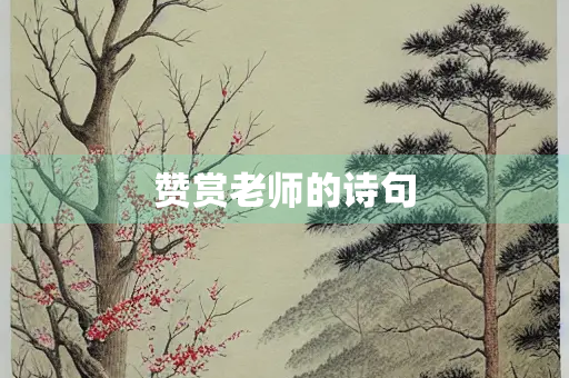 赞赏老师的诗句