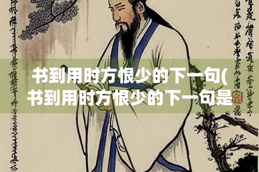 书到用时方恨少的下一句(书到用时方恨少的下一句是什么古诗)