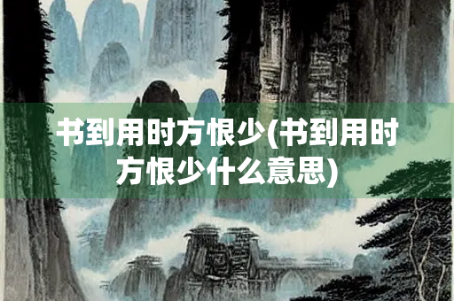 书到用时方恨少(书到用时方恨少什么意思)