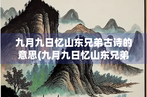 九月九日忆山东兄弟古诗的意思(九月九日忆山东兄弟古诗的意思20字)