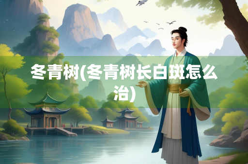 冬青树(冬青树长白斑怎么治)