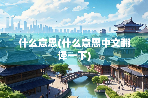 什么意思(什么意思中文翻译一下)