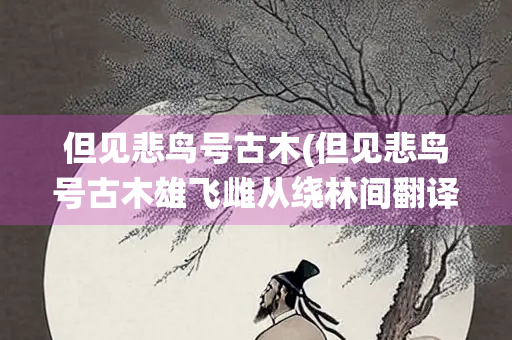 但见悲鸟号古木(但见悲鸟号古木雄飞雌从绕林间翻译)