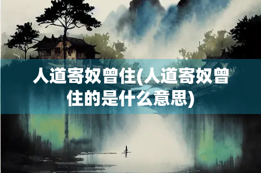 人道寄奴曾住(人道寄奴曾住的是什么意思)