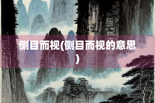 侧目而视(侧目而视的意思)