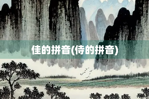 佳的拼音(侍的拼音)