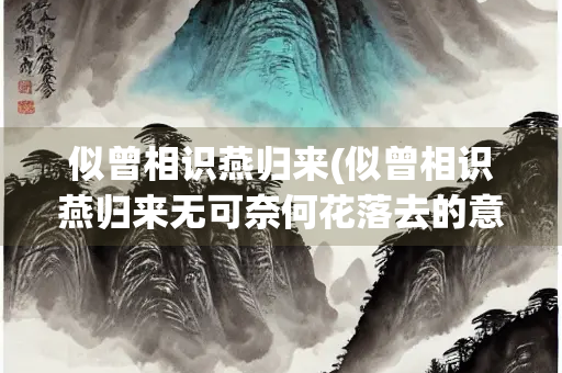 似曾相识燕归来(似曾相识燕归来无可奈何花落去的意思)