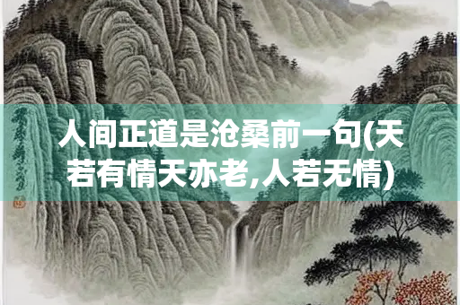 人间正道是沧桑前一句(天若有情天亦老,人若无情)