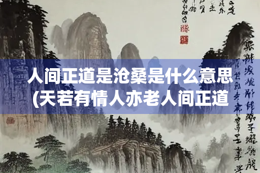 人间正道是沧桑是什么意思(天若有情人亦老人间正道是沧桑是什么意思)