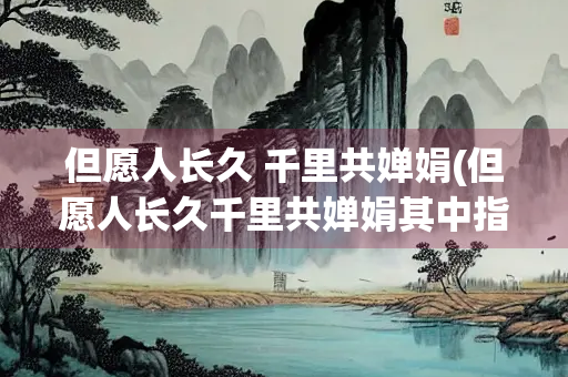 但愿人长久 千里共婵娟(但愿人长久千里共婵娟其中指的是)