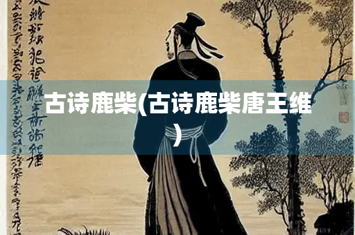 古诗鹿柴(古诗鹿柴唐王维)