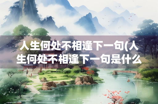 人生何处不相逢下一句(人生何处不相逢下一句是什么)