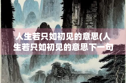 人生若只如初见的意思(人生若只如初见的意思下一句是什么诗句)