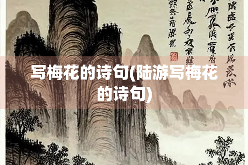 写梅花的诗句(陆游写梅花的诗句)