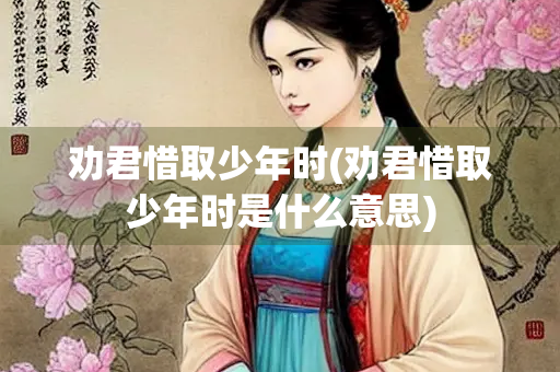 劝君惜取少年时(劝君惜取少年时是什么意思)