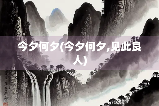 今夕何夕(今夕何夕,见此良人)