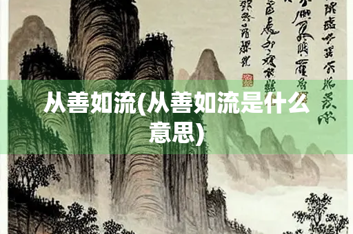 从善如流(从善如流是什么意思)