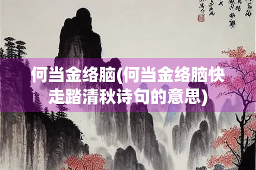 何当金络脑(何当金络脑快走踏清秋诗句的意思)
