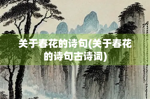 关于春花的诗句(关于春花的诗句古诗词)