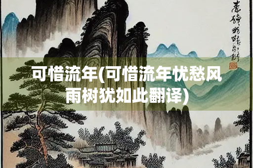 可惜流年(可惜流年忧愁风雨树犹如此翻译)