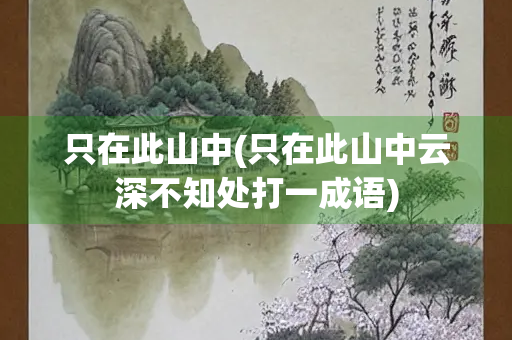 只在此山中(只在此山中云深不知处打一成语)