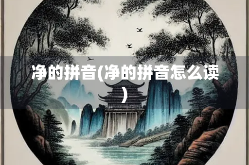 净的拼音(净的拼音怎么读)