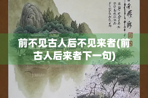 前不见古人后不见来者(前古人后来者下一句)