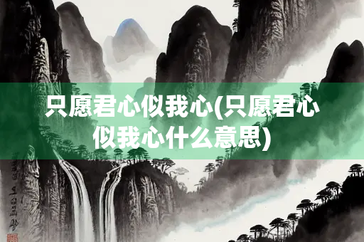 只愿君心似我心(只愿君心似我心什么意思) 只愿君心似我心(只愿君心似我心什么意思)