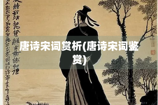 唐诗宋词赏析(唐诗宋词鉴赏) 唐诗宋词赏析(唐诗宋词鉴赏)