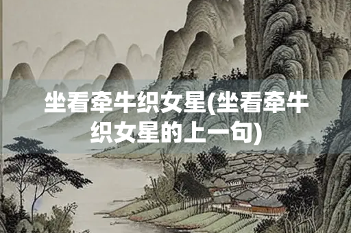坐看牵牛织女星(坐看牵牛织女星的上一句)