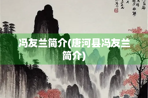 冯友兰简介(唐河县冯友兰简介)