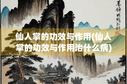 仙人掌的功效与作用(仙人掌的功效与作用治什么病)