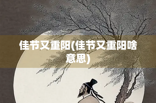 佳节又重阳(佳节又重阳啥意思)