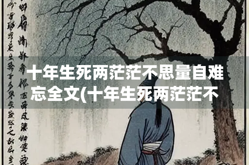 十年生死两茫茫不思量自难忘全文(十年生死两茫茫不思量自难忘全文多少字)