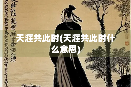 天涯共此时(天涯共此时什么意思)