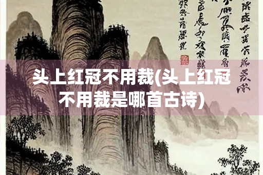 头上红冠不用裁(头上红冠不用裁是哪首古诗) 头上红冠不用裁(头上红冠不用裁是哪首古诗)