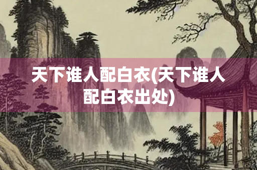 天下谁人配白衣(天下谁人配白衣出处)