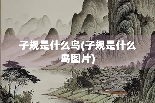 子规是什么鸟(子规是什么鸟图片)