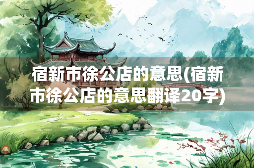 宿新市徐公店的意思(宿新市徐公店的意思翻译20字) 宿新市徐公店的意思(宿新市徐公店的意思翻译20字)