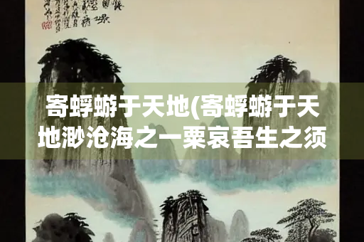 寄蜉蝣于天地(寄蜉蝣于天地渺沧海之一粟哀吾生之须臾羡长江之无穷) 寄蜉蝣于天地(寄蜉蝣于天地渺沧海之一粟哀吾生之须臾羡长江之无穷)