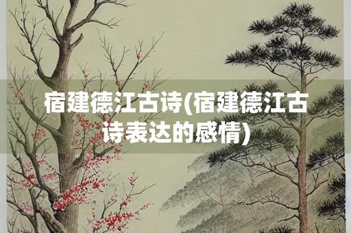 宿建德江古诗(宿建德江古诗表达的感情)