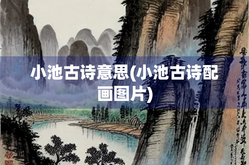 小池古诗意思(小池古诗配画图片)