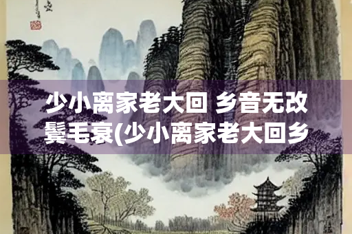 少小离家老大回 乡音无改鬓毛衰(少小离家老大回乡音无改鬓毛衰的意思)