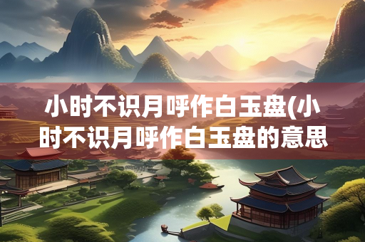 小时不识月呼作白玉盘(小时不识月呼作白玉盘的意思)