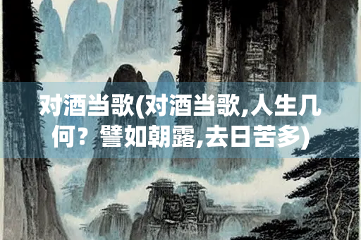 对酒当歌(对酒当歌,人生几何？譬如朝露,去日苦多)