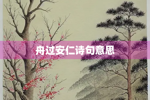 舟过安仁诗句意思