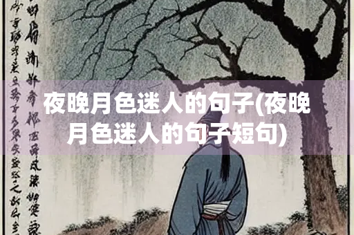 夜晚月色迷人的句子(夜晚月色迷人的句子短句) 夜晚月色迷人的句子(夜晚月色迷人的句子短句)
