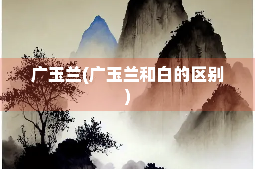 广玉兰(广玉兰和白的区别)