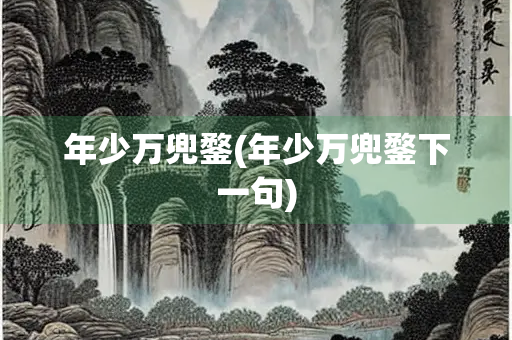年少万兜鍪(年少万兜鍪下一句)