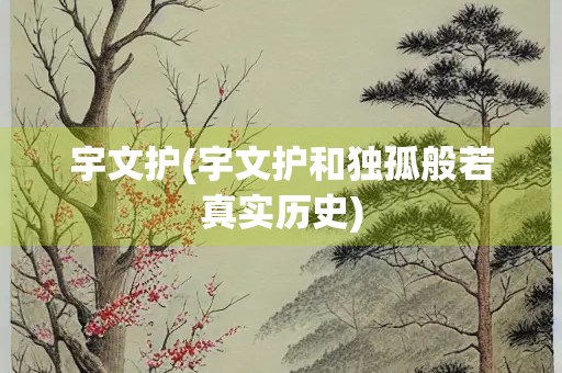 宇文护(宇文护和独孤般若真实历史) 宇文护(宇文护和独孤般若真实历史)